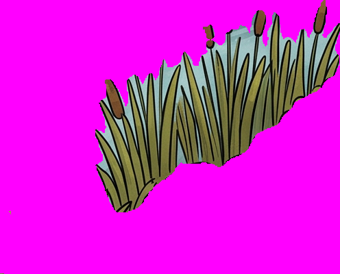 The reed cut-out on magenta: pale blue river fills the space between the blades.